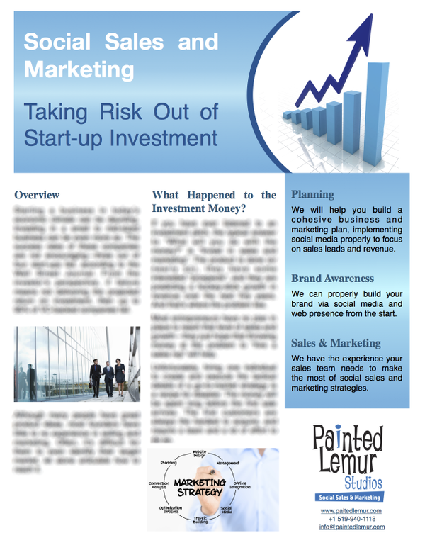 Taking Risk Out of Start-Up Investment Brochure